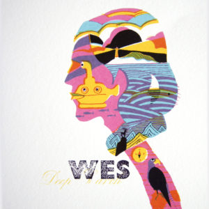 Hommage à Wes Anderson par Thibault Balahy