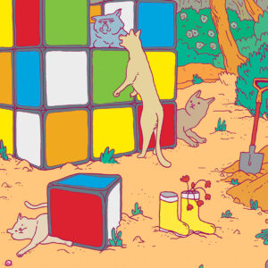 Rubiks par Geoffrey Grimal