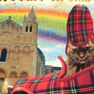 Carte postale Chat roule en Charentaise