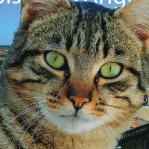 Carte postale Gros bisous d&rsquo;Angoulême